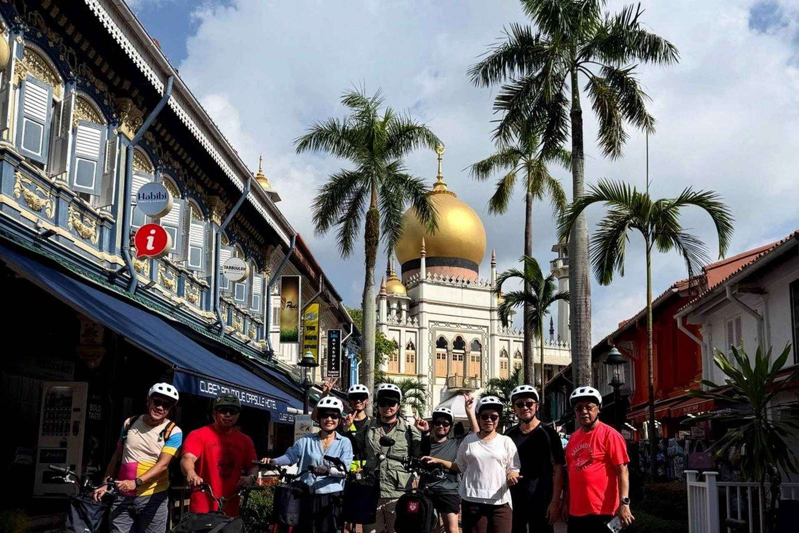 Destaques da Cidade de Singapura: Excursão de Bicicleta (Passeio Histórico de 4 Horas)