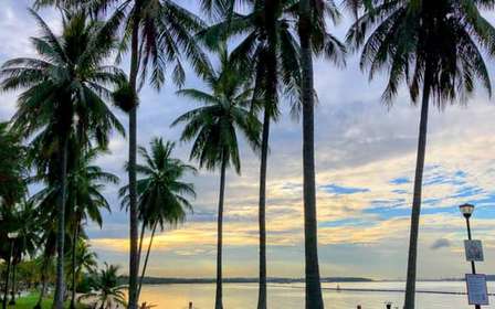 Singapura: Excursão de Bicicleta com Pôr do Sol e Comida