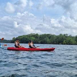 Caiaque em volta do Ketam em Pulau Ubin