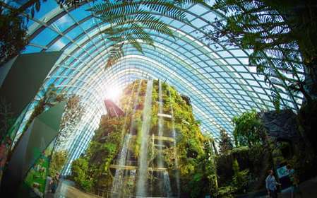 Cingapura: Ingresso eletrônico para o Gardens by the Bay
