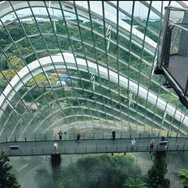 Singapura: Ingresso para Cúpula das Flores + Floresta das Nuvens