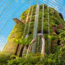 Singapore Gardens by the Bay com ingresso e recolha