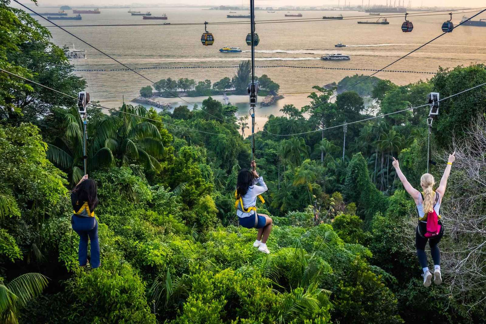 Faz o teu trabalho em Singapura: Mega Adventure Zipline