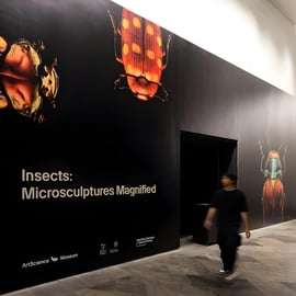 Singapura: Ingresso para o Museu ArtScience