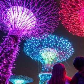 Singapura: Excursão noturna em autocarro aberto com guia de turismo