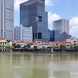 Singapura: Excursão a Pé Guiada com um Local