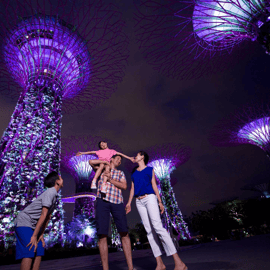 Singapore Twilights com cruzeiro fluvial e shows de luzes