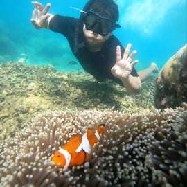 De Singapura : Snorkeling privado na ilha de Batam e canoa
