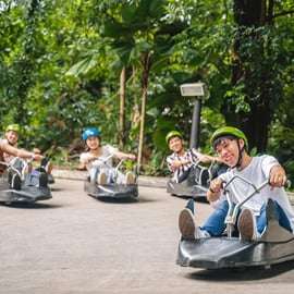 Singapura: Skyline Luge e AltitudeX Indoor Skydiving