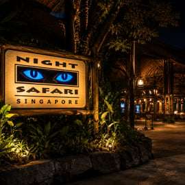 Singapura: Night Safari com Passeio de Bonde e Traslados de Hotel
