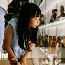 Singapura: Ingresso para o MINT Museum of Toys