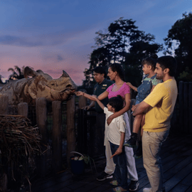 Singapura: Ingresso de entrada no Night Safari com passeio de bonde