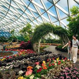 Singapura: Ingresso de Entrada para o Canopy Park do Aeroporto Jewel Changi