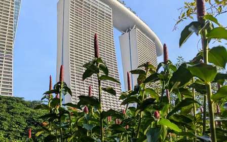 Jardins da Baía de Singapura: Caminhada pelas Superárvores e pela Floresta das Nuvens