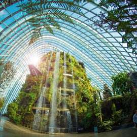 Cingapura: Ingresso eletrônico para o Gardens by the Bay