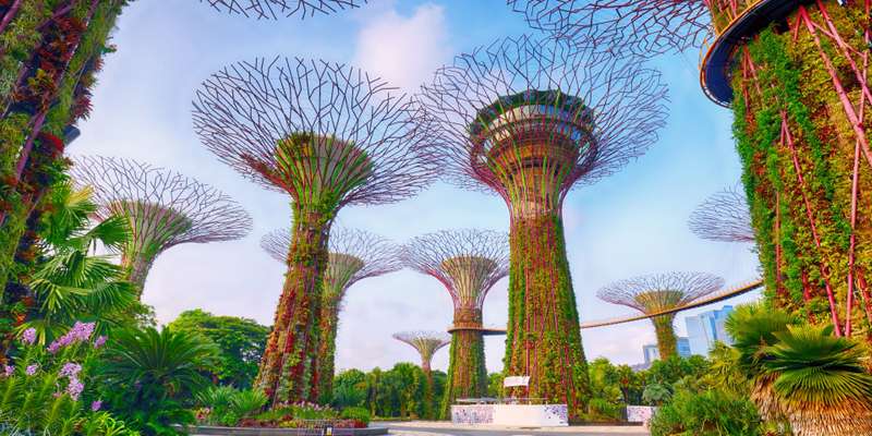 Dicas essenciais para visitar Singapura no Ano Novo Chinês
