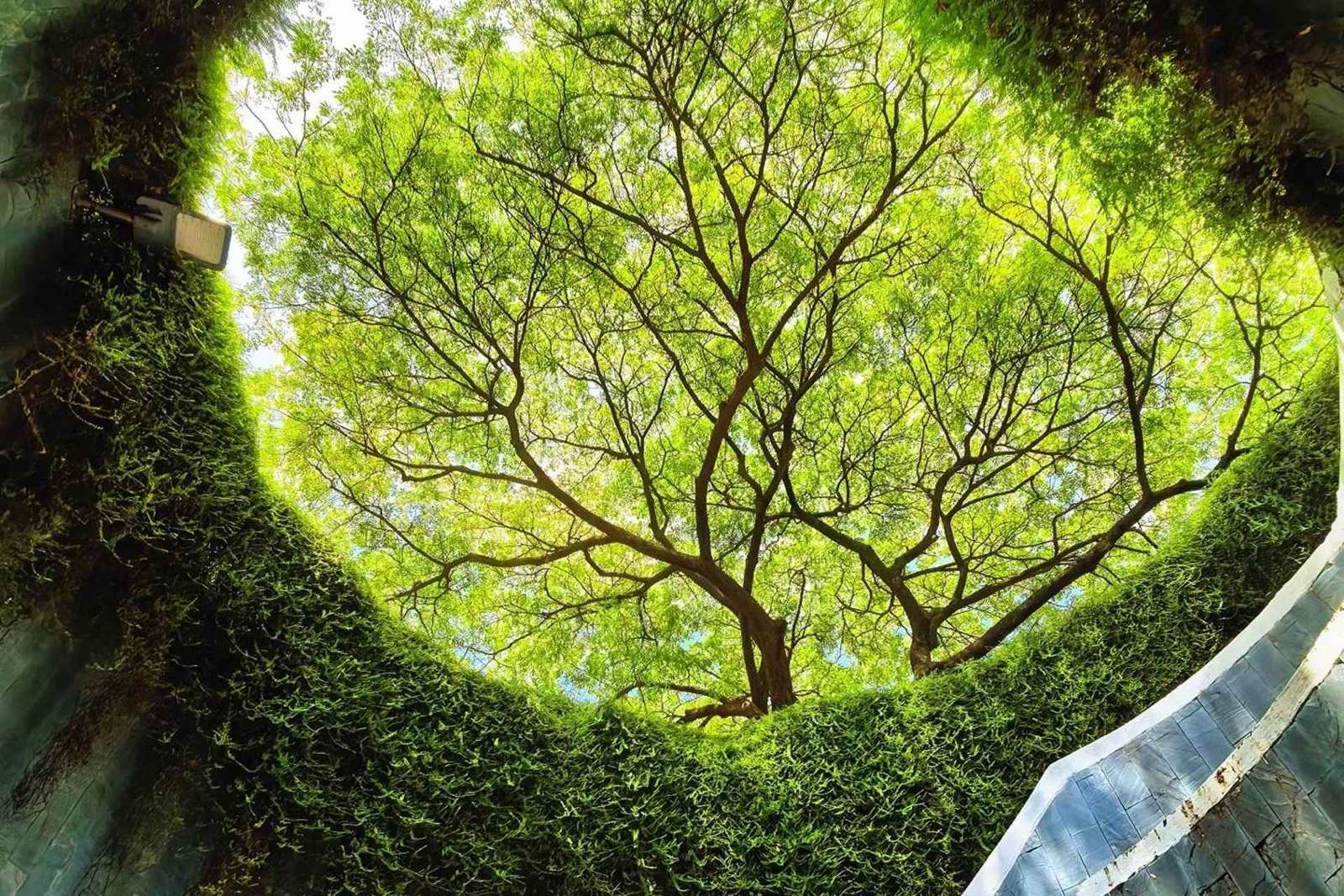 Singapura: Excursão por 12 Marcos com Tempo Livre e Transfer