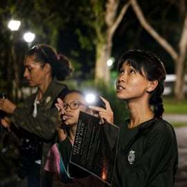 Singapura: Caminhada noturna pela vida selvagem dos mangais