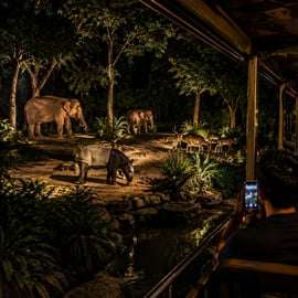 Singapura: Night Safari com Passeio de Bonde e Busca no Hotel