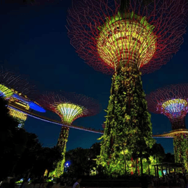 Cruzeiro no rio ao pôr do sol em Singapura e espectáculos de luzes cintilantes