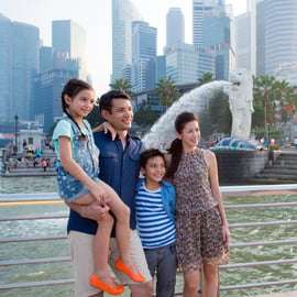 Passeio guiado de meio dia pela cidade de Singapura