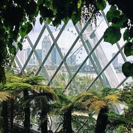 Singapura: Ingresso para Cúpula das Flores + Floresta das Nuvens