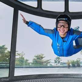 Singapura: Skyline Luge e AltitudeX Indoor Skydiving