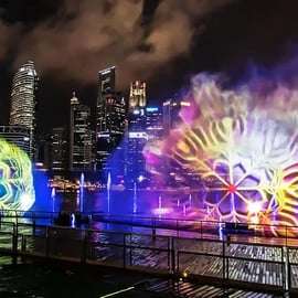 Cruzeiro pelo rio Singapura, Garden Rhapsody noturno e espetáculo Spectra