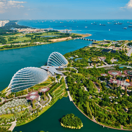 Singapore Gardens by the Bay com ingresso e recolha