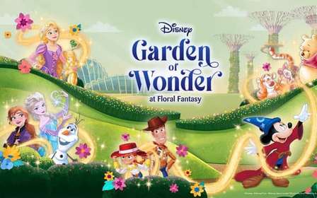 Singapura: combo de bilhetes de entrada para os Gardens by the Bay