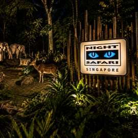 Singapura: Night Safari com Passeio de Bonde e Busca no Hotel
