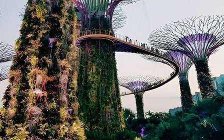 Gardens by the Bay – OCBC Skyway, Cúpula das Flores e Floresta das Nuvens