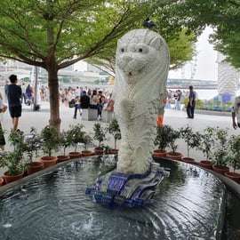 Singapura: Visita à cidade a pé com um guia turístico local