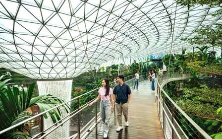 Singapura: Ingresso de Entrada para o Canopy Park do Aeroporto Jewel Changi