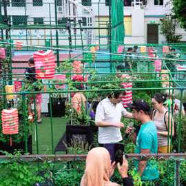 Singapura: Excursão Guiada de Bicicleta por Fazendas e Jardins Urbanos