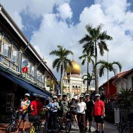 Destaques da Cidade de Singapura: Excursão de Bicicleta (Passeio Histórico de 4 Horas)