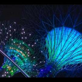 Gardens by the Bay – OCBC Skyway, Cúpula das Flores e Floresta das Nuvens
