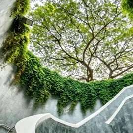 Singapura: Excursão Particular de Carro pelos Marcos do Instagram