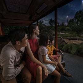 Ingresso de entrada para o Night Safari com passeio de bonde e transfers compartilhados