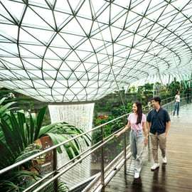 Singapura: Ingresso de Entrada para o Canopy Park do Aeroporto Jewel Changi