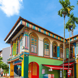 Singapura 3 Bairros Étnicos - Excursão à Descoberta da Harmonia