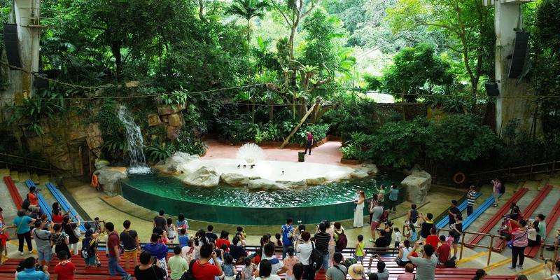 Zoológico de Cingapura