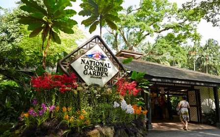 Singapura: Ingresso no Jardim Nacional das Orquídeas