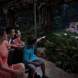 Singapura: Ingresso de entrada no Night Safari com passeio de bonde