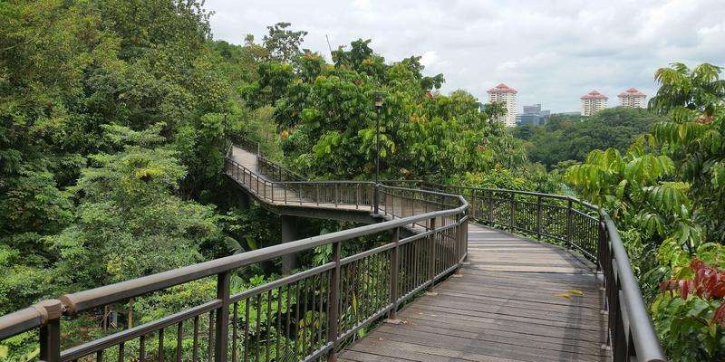 Kent Ridge Park