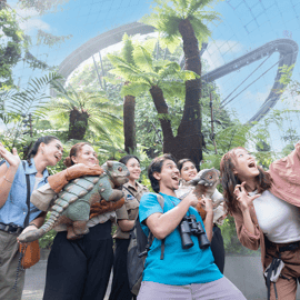 Singapura: Ingresso para os Jardins da Baía
