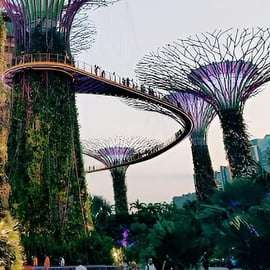 Gardens by the Bay – OCBC Skyway, Cúpula das Flores e Floresta das Nuvens