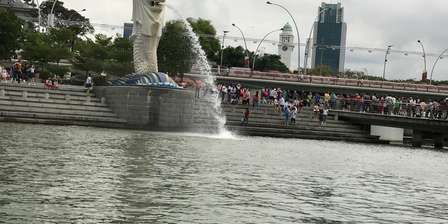 Singapore Ducktours