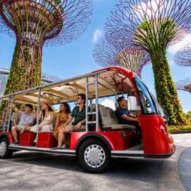 Singapura: Excursão Turística Guiada com Visita aos Jardins da Baía