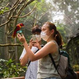 Singapura: ingresso de entrada para o Bird Paradise
